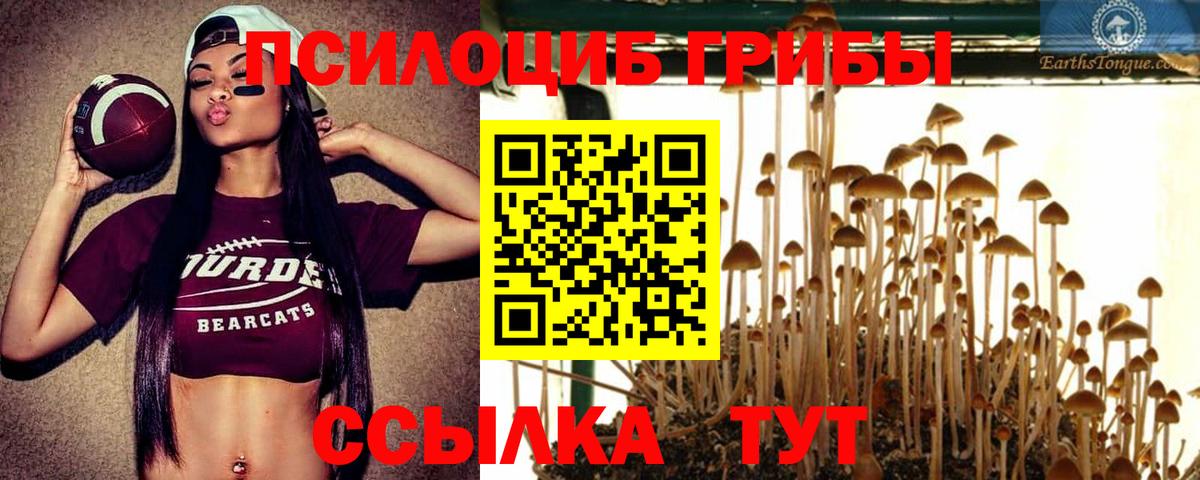 Нефтекумск  Галлюциногенные грибы Psilocybine cubensis  Вход с VPN 